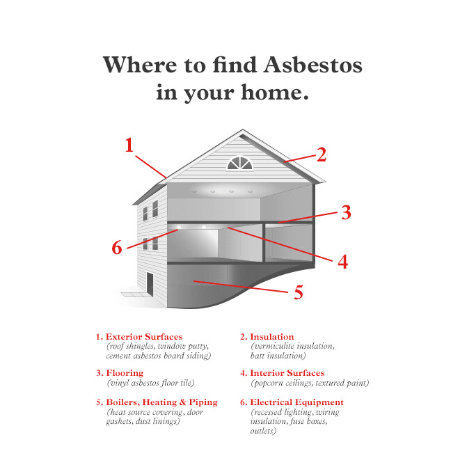 Mold Test Company DIY Asbestos Test Kit - Infographic 2