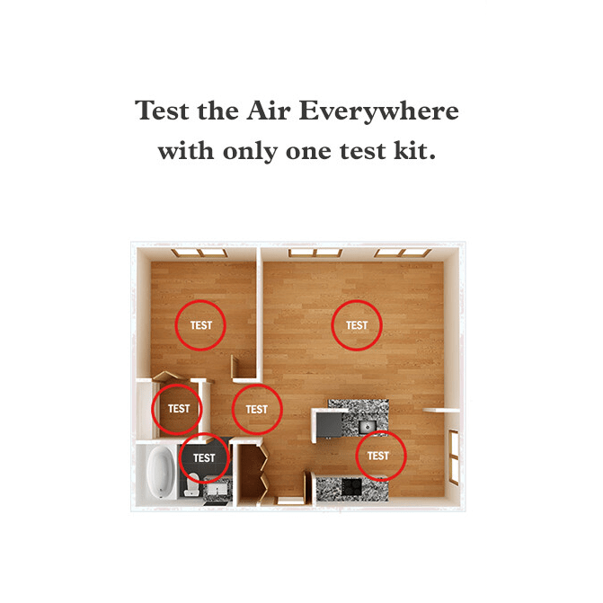 Mold Test Company DIY Mold Test Kit - Infographic 2
