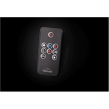 Napoleon Entice Electric Fireplace - Remote Control