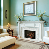 Napoleon Woodland Electric Fireplace Insert/Log Set - 24 Inch in Living Room