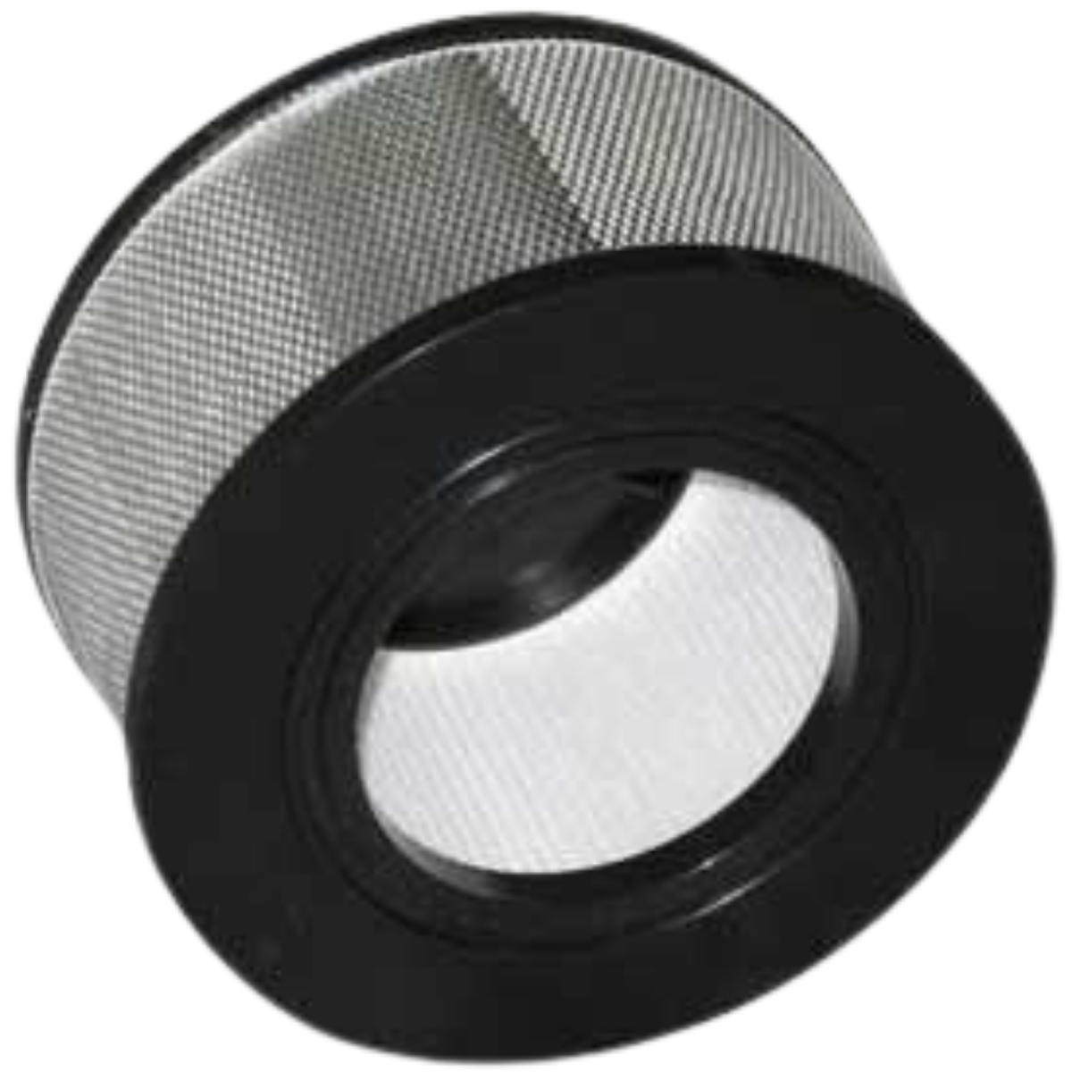 Nilfisk HEPA Filter 01727631 - Angle