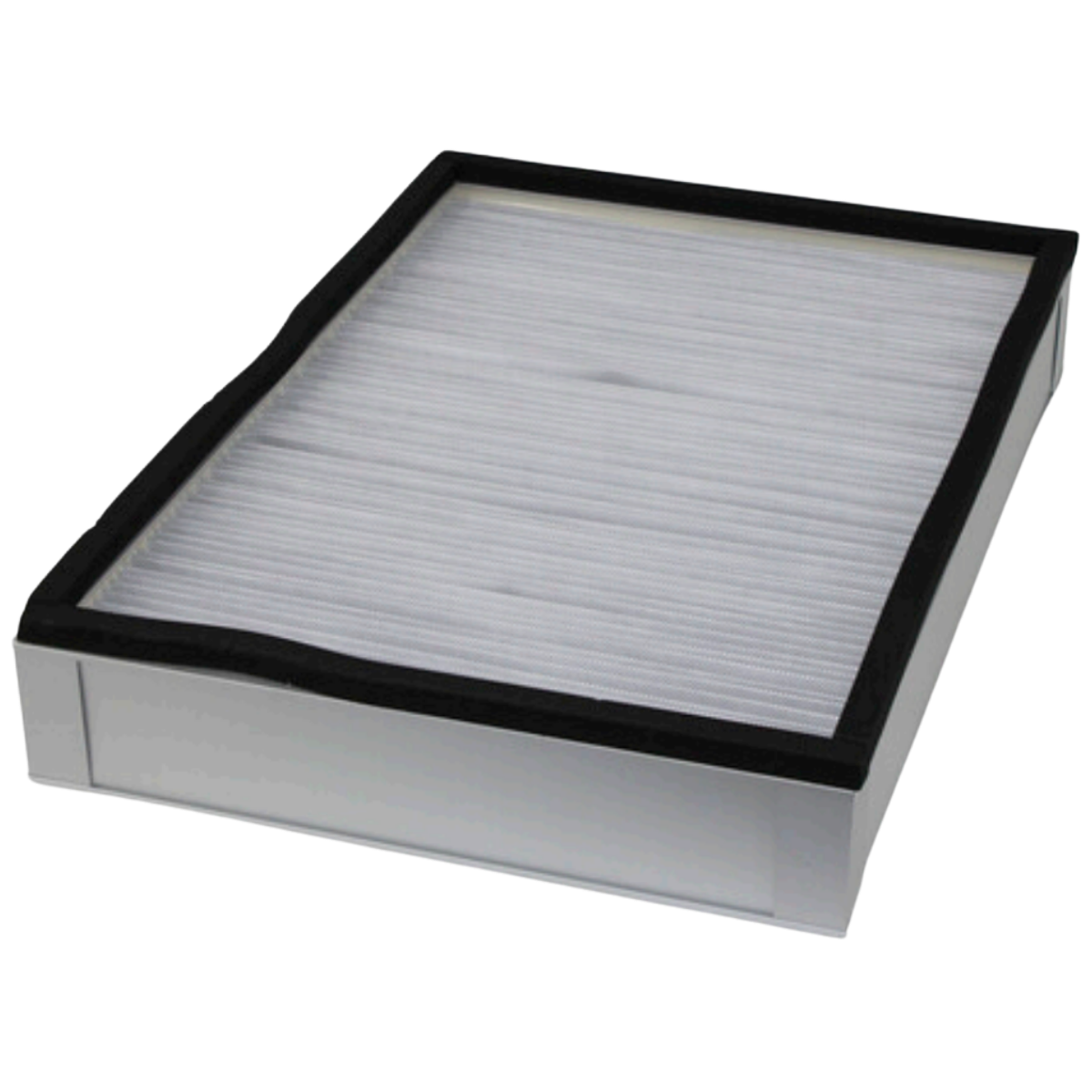Nilfisk HEPA Filter Kit for SW3000 - Main