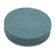 Nilfisk Replacement 20-inch Aqua Light Aggressive Burnishing Pads - 5 Pack - Main