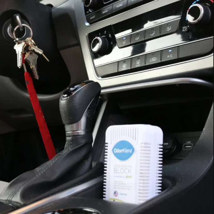 Odorklenz Deodorizing Block Car