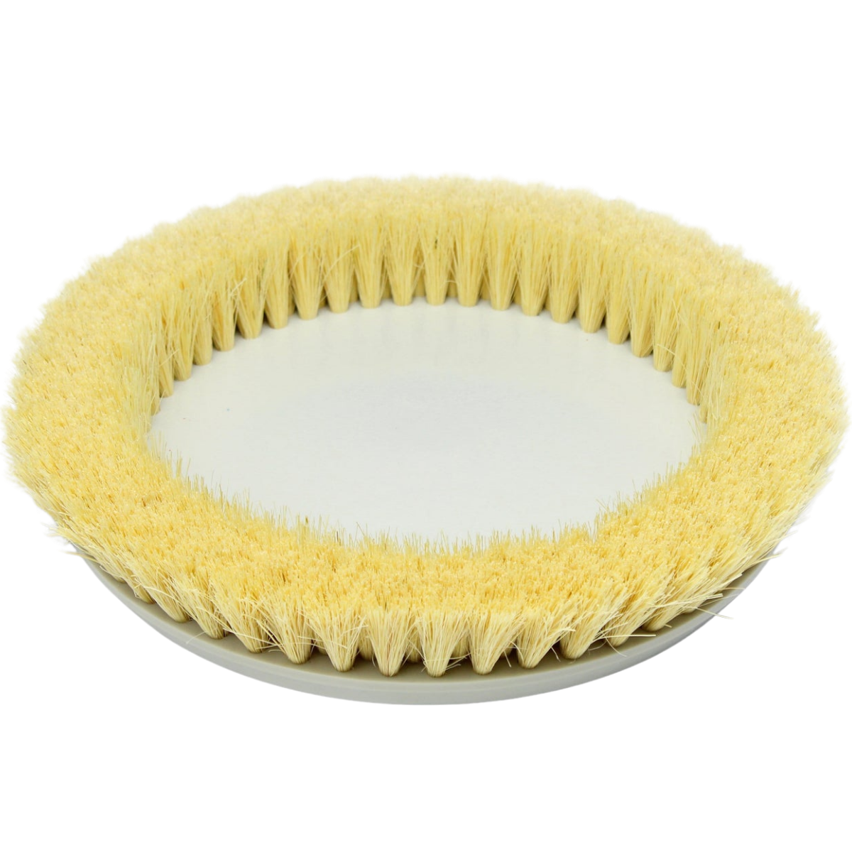 Prolux Light Duty Replacement Pads for Core Floor Buffer - Main