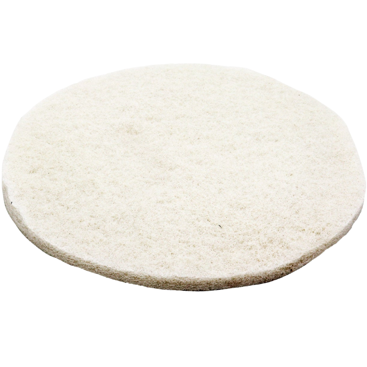 Prolux Replacement White Light-Duty Scrubbing Pad - Main