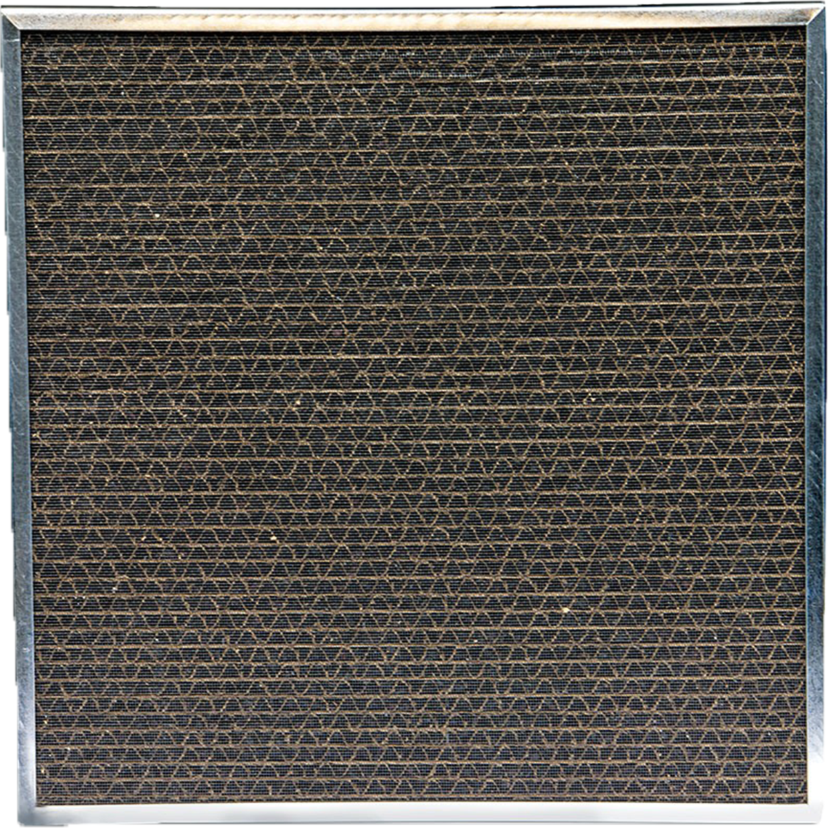 Quest Activated Carbon & Potassium Permanganate Filter (4031878)