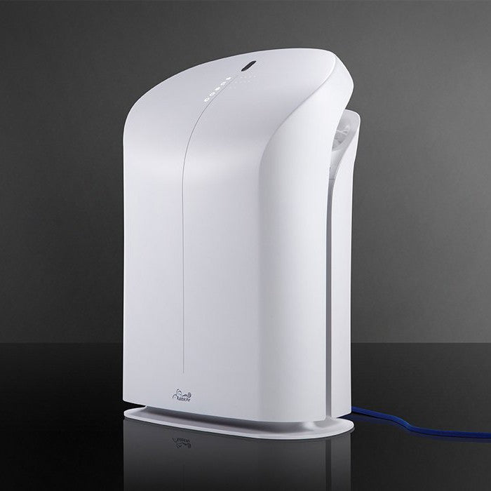 Rabbit Air BioGS 2.0 Ultra Quiet Air Purifier – Sylvane
