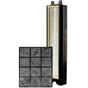 Riccar Genuine HEPA and Granulated Charcoal Filter Set for Clean Air Vacuums - Main