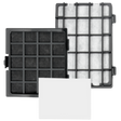 Riccar HEPA and Granulated Charcoal Filter Set for Tandem Air Deluxe Vacuum - Main