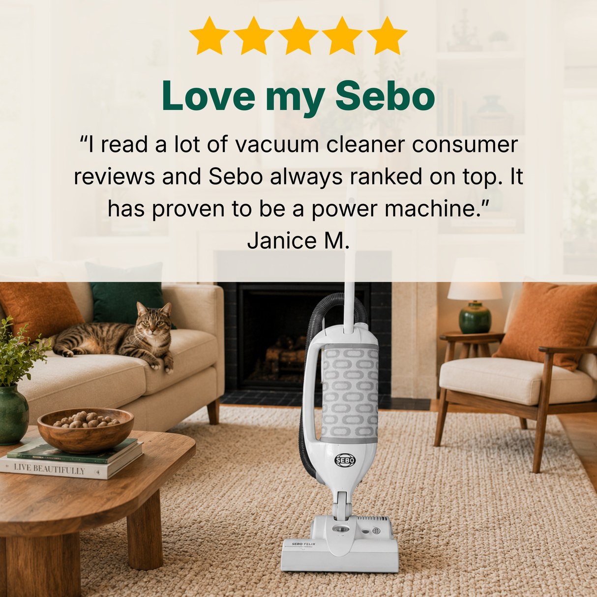 Sebo vacuum cleaner in a living room with a cat on the couch and a fireplace in the background.