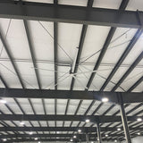 SkyBlade ShopProp 5 Blade HVLS Ceiling Fans
