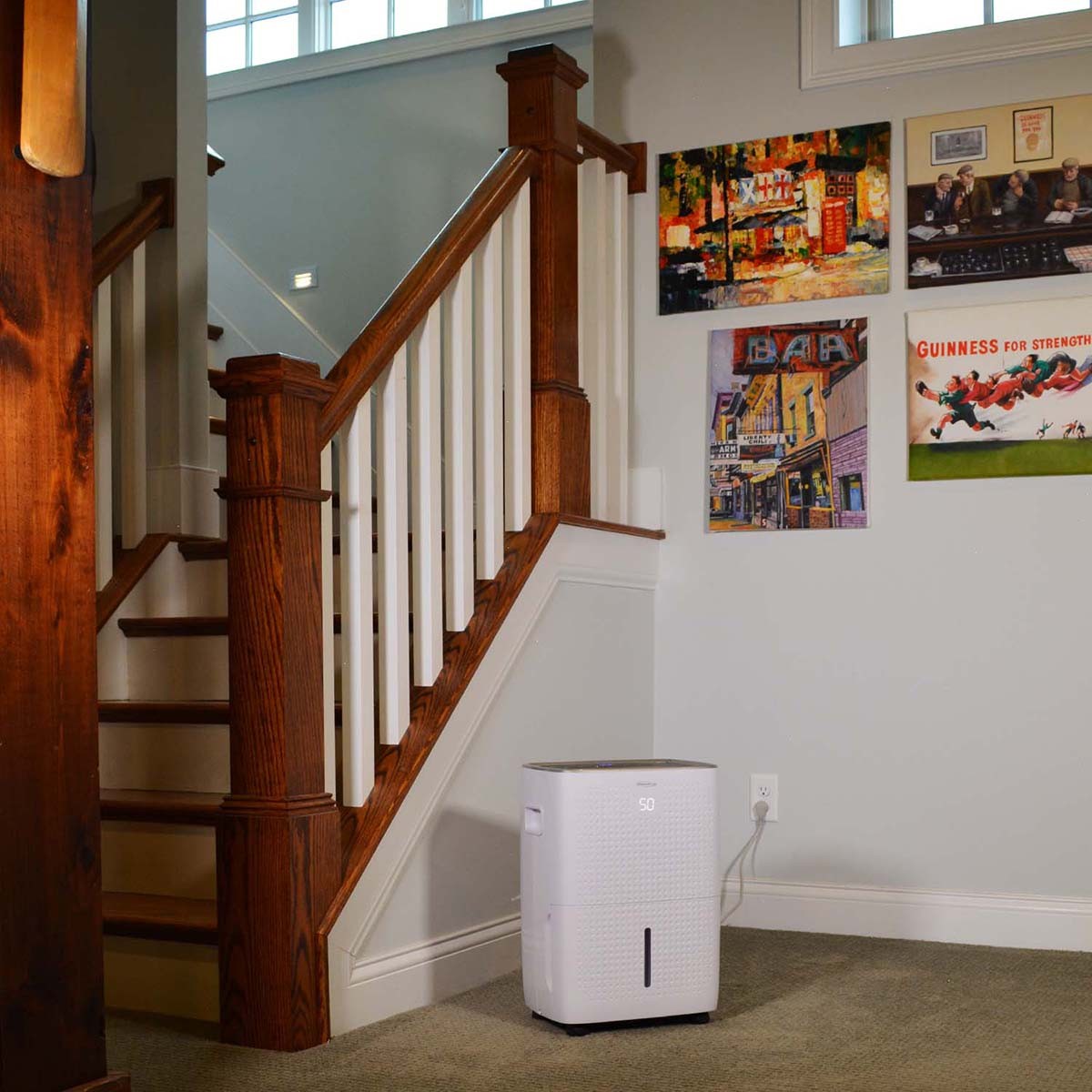 Soleus Air 35 Pint Dehumidifier - in Living Room