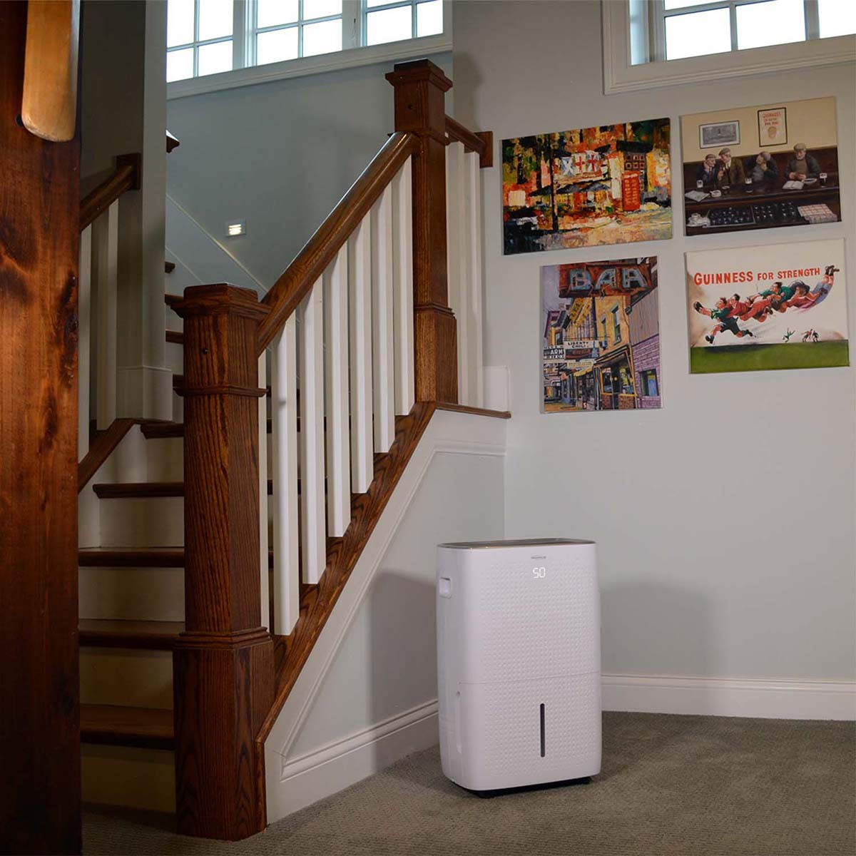 Soleus Air 50 Pint Dehumidifier