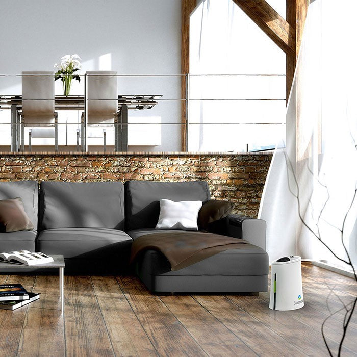Steamfast SF-920 1 Gal. Warm Mist Aromatherapy Humidifier