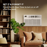 TCL Through-the-Wall Air Conditioner - Infographic 1