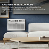 TCL Through-the-Wall Air Conditioner - Infographic 4