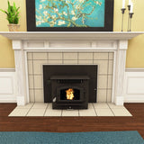 US Stove 6041i Multi-Fuel Stove Insert - in Living Room