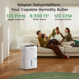Waykar 120 Pint Energy Star Dehumidifier - Infographic 1