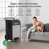 Waykar 250 Pint Portable Dehumidifier with Pump - Infographic 1