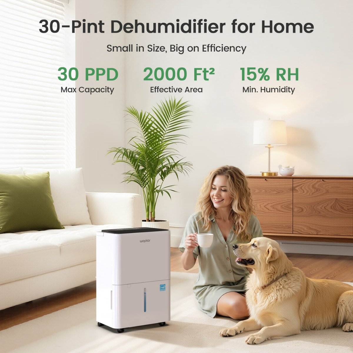 Waykar 13 Pint Energy Star Dehumidifier - Infographic 1