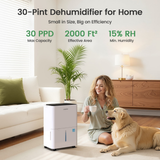 Waykar 13 Pint Energy Star Dehumidifier - Infographic 1