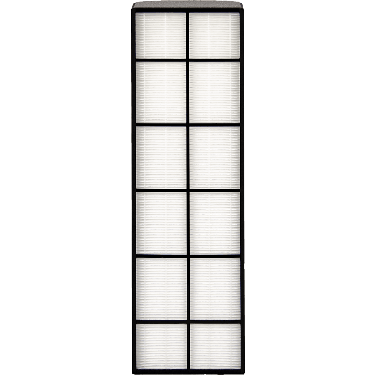 Whirlpool WPT80 Tower HEPA Replacement Filter 1183800