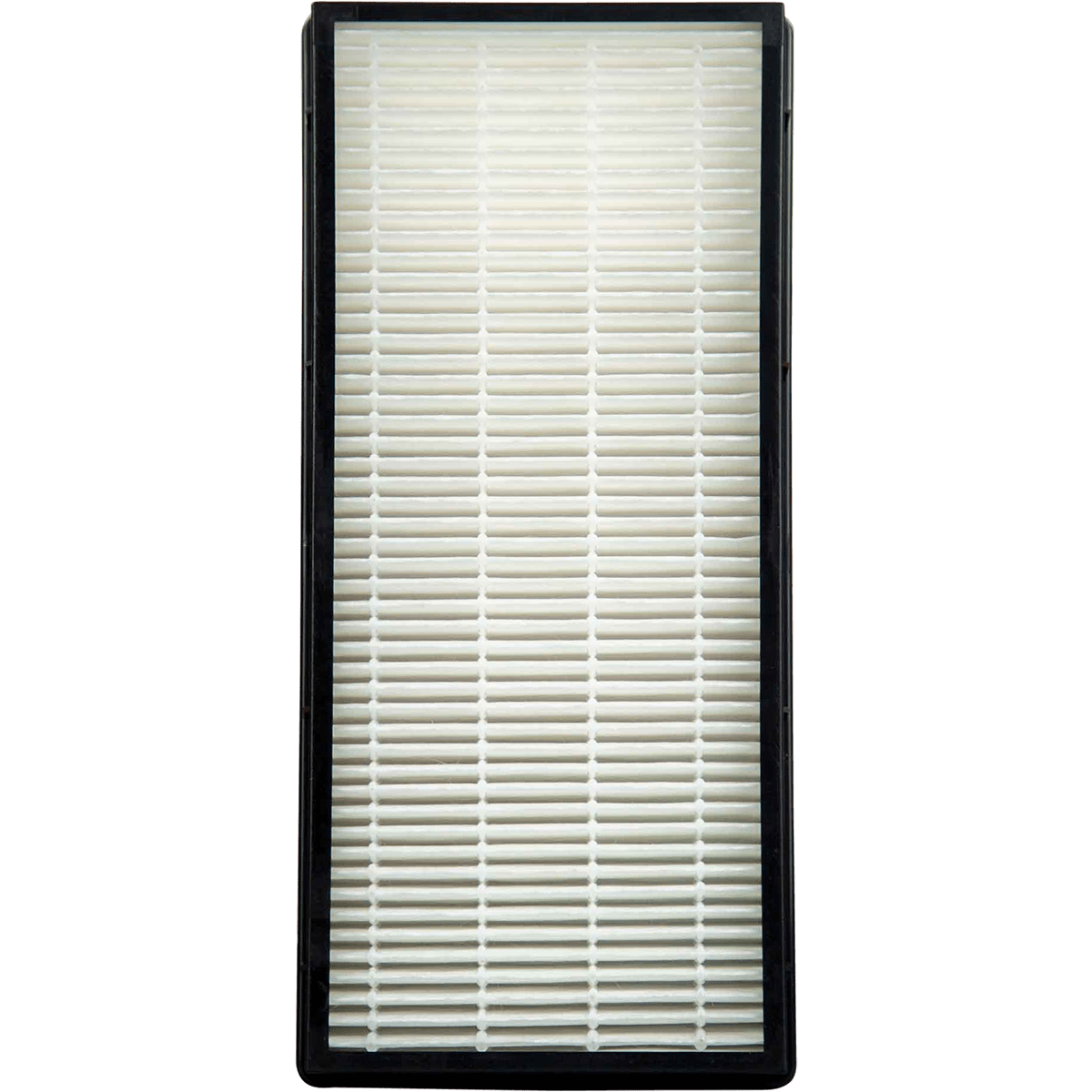Genuine Whirlpool Replacement HEPA Filter (1183900)