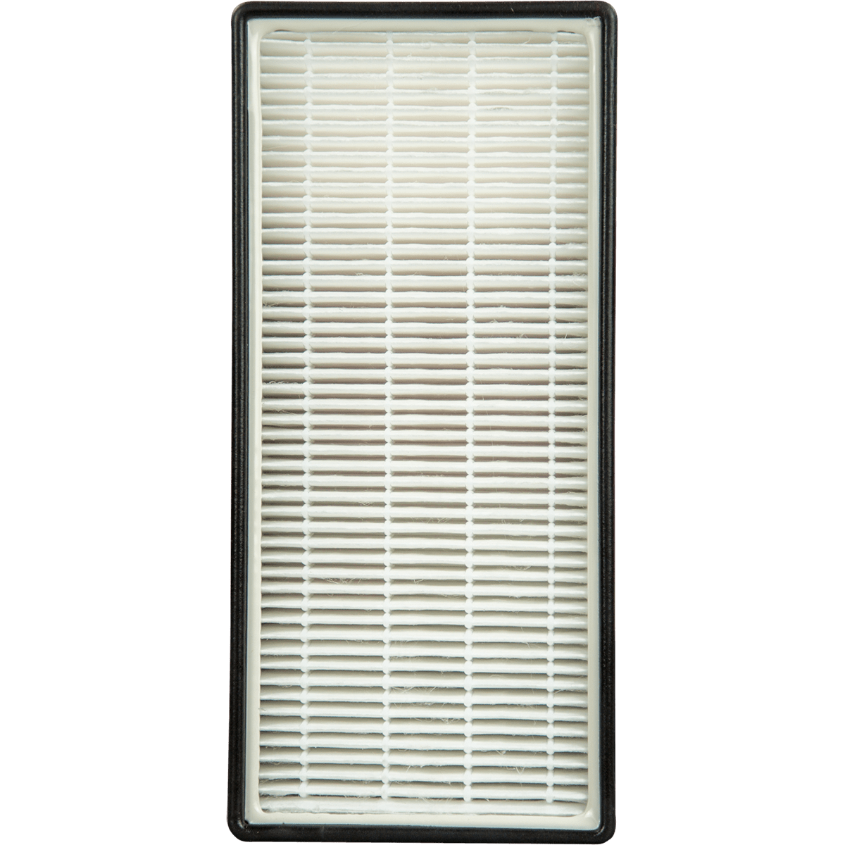 Genuine Whirlpool Replacement HEPA Filter (1183900)