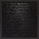 XPower CF35 Activated Carbon Replacement Filter